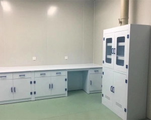 湖南實（shí）驗設備廠家-功能台櫃-13